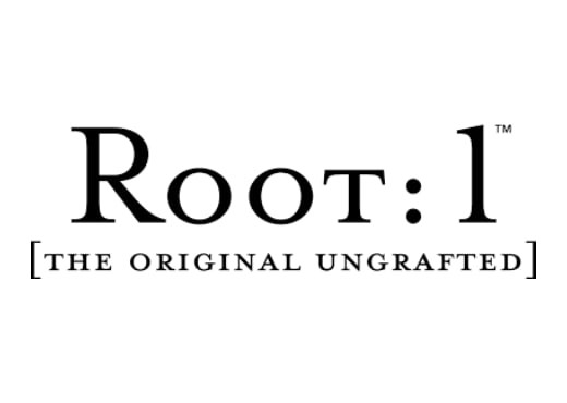 Root:1 Wine in Thailand.