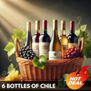 6 bottles of Chilean wine in Thailand.