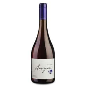 Amayna Pinot Noir is a Medium-Bodied Red Wine from Chile