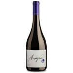 Amayna Syrah is a Full-Bodied Red Wine from Chile