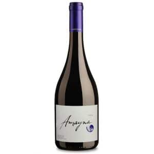 Amayna Syrah is a Full-Bodied Red Wine from Chile