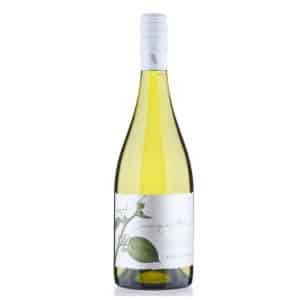 Casas del Bosque La Cantera Sauvignon Blanc is a Light-Bodied White Wine from Chile