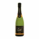 Champagne Delot Blanc de Noirs Brut is a Sparkling Sparkling from France
