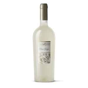 Tenuta Ulisse Premium Pinot Grigio Terre di Chieti IGP is a Light-Bodied White Wine from Italy