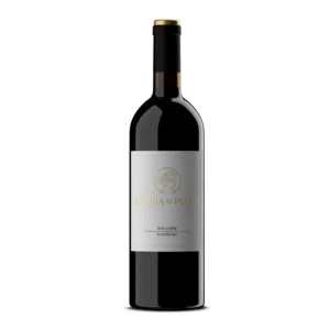 Caccia al Piano Bolgheri Superiore DOC (2021) is a Red Wine from Italy
